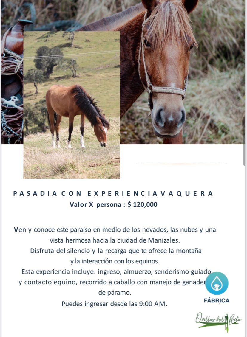 Pasadía con experiencia Vaquera.